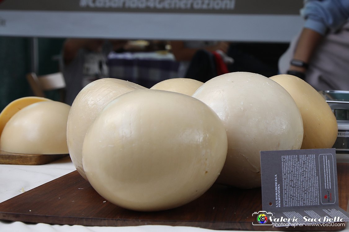 VBS_0756 - Terra Madre Salone del Gusto 2022.jpg